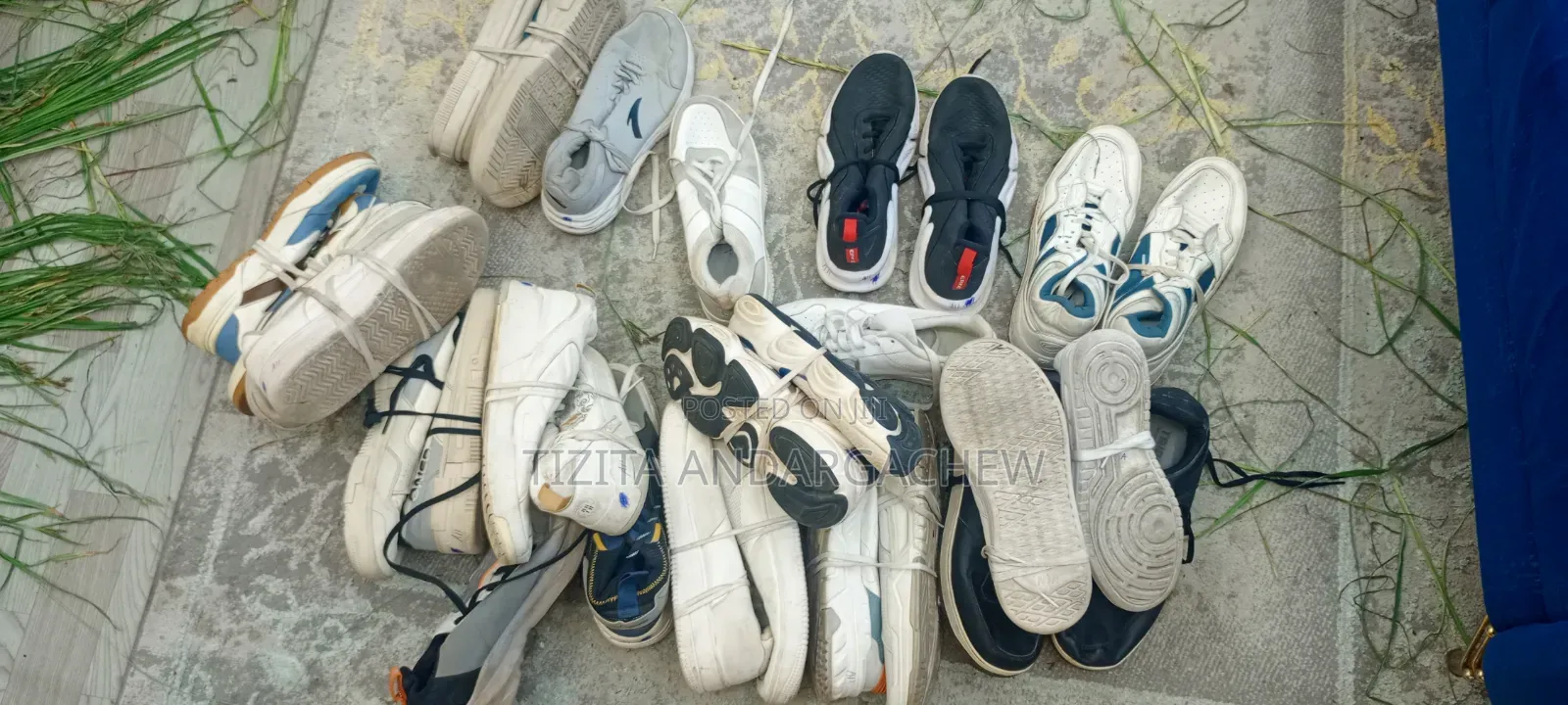 Torshin Shoe