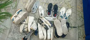 Torshin Shoe