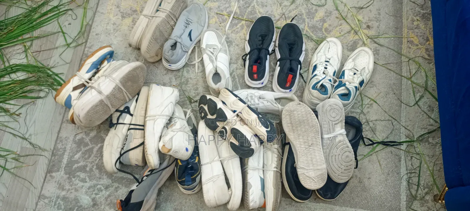 Torshin Shoes