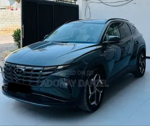 Hyundai Tucson Limited 2021 Gray