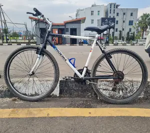 Phonics Bike