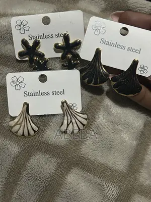 Beautiful Hand Made and Stainless Earrings for Women