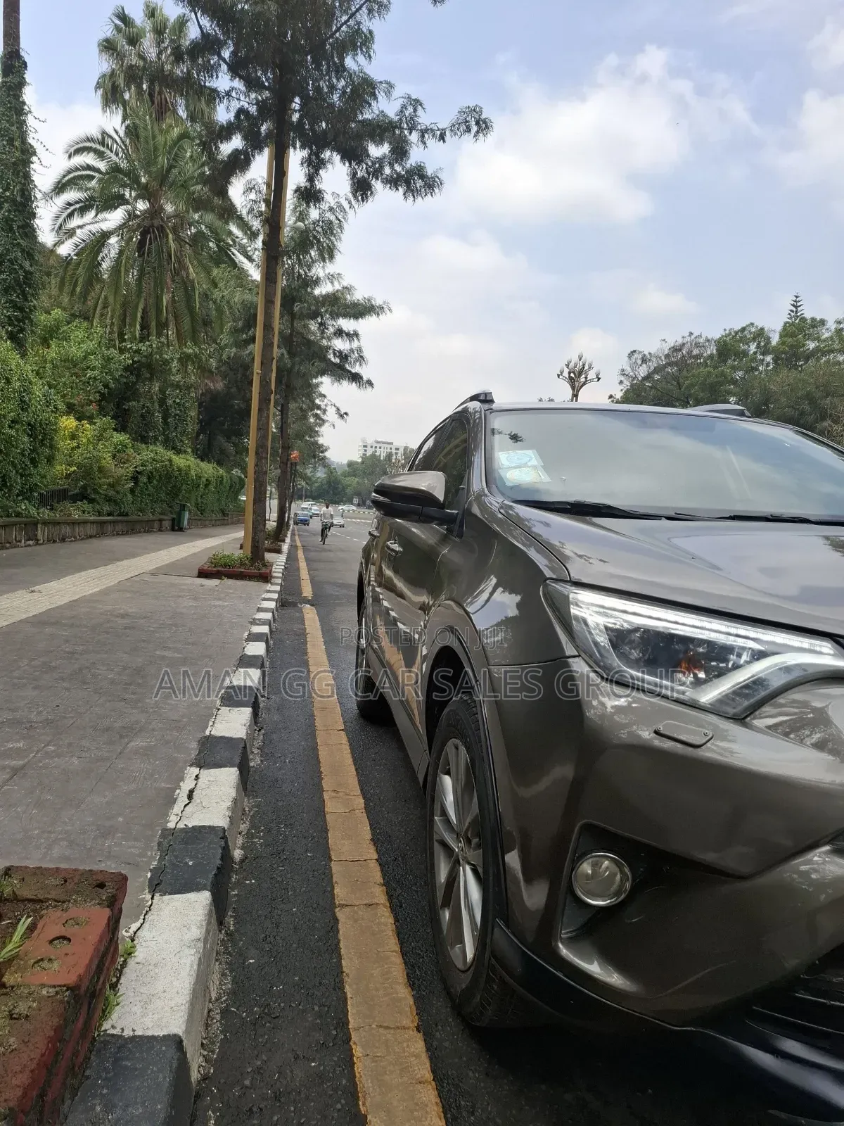 Toyota RAV4 2015 Purple