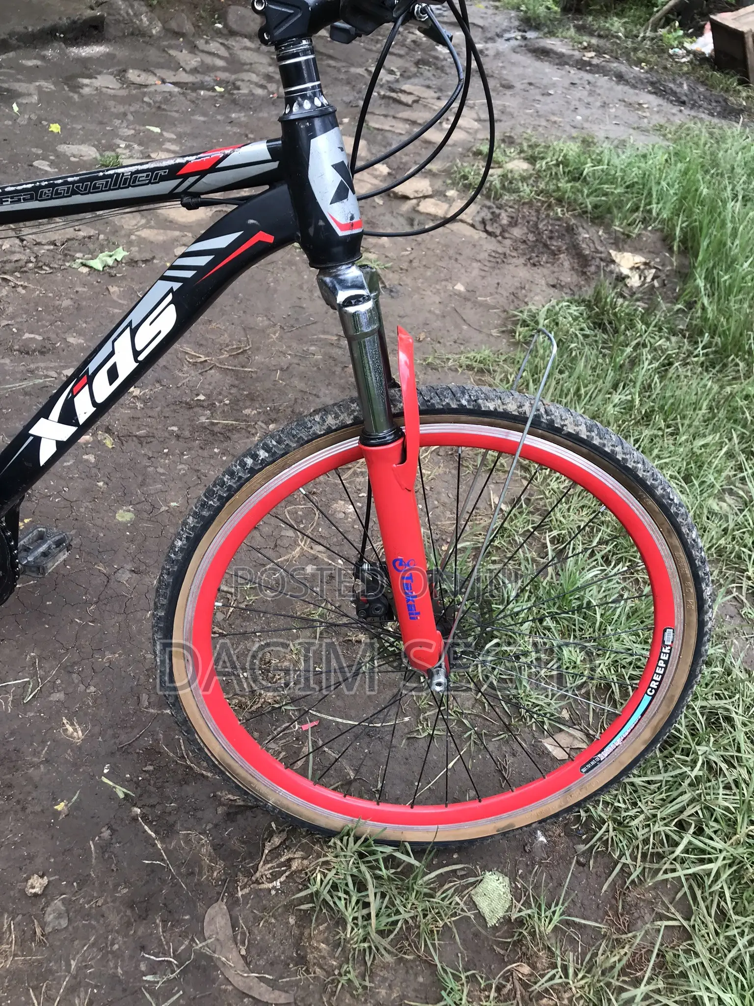 Mountain Xids Bicycle