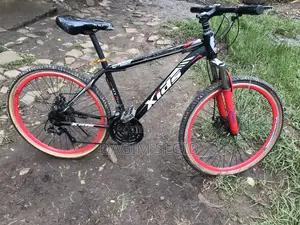 Mountain Xids Bicycle