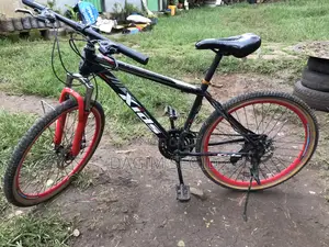 Mountain Xids Bicycle