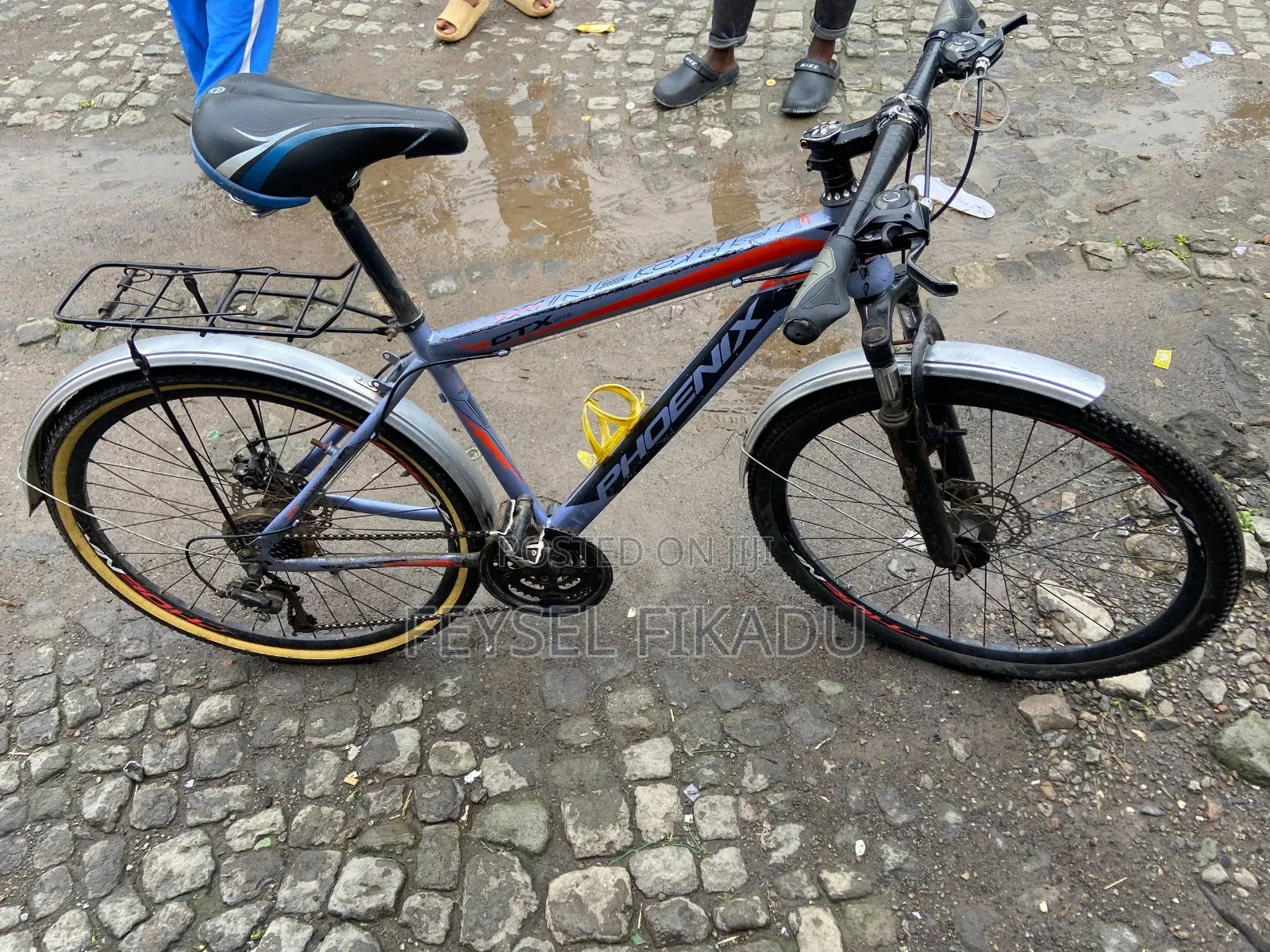 Phoenix Cycle