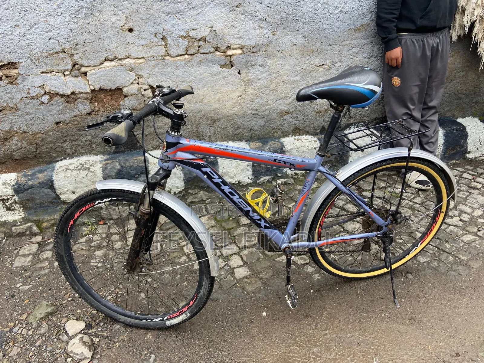 Phoenix Cycle