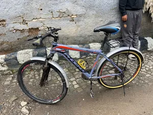 Phoenix Cycle