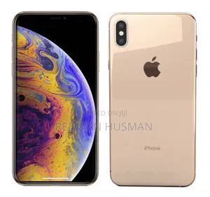 Apple iPhone XS 256 GB Gray
