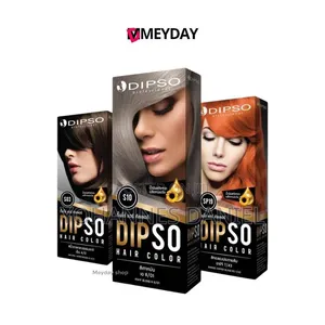 Dipso Professional Hair Dye