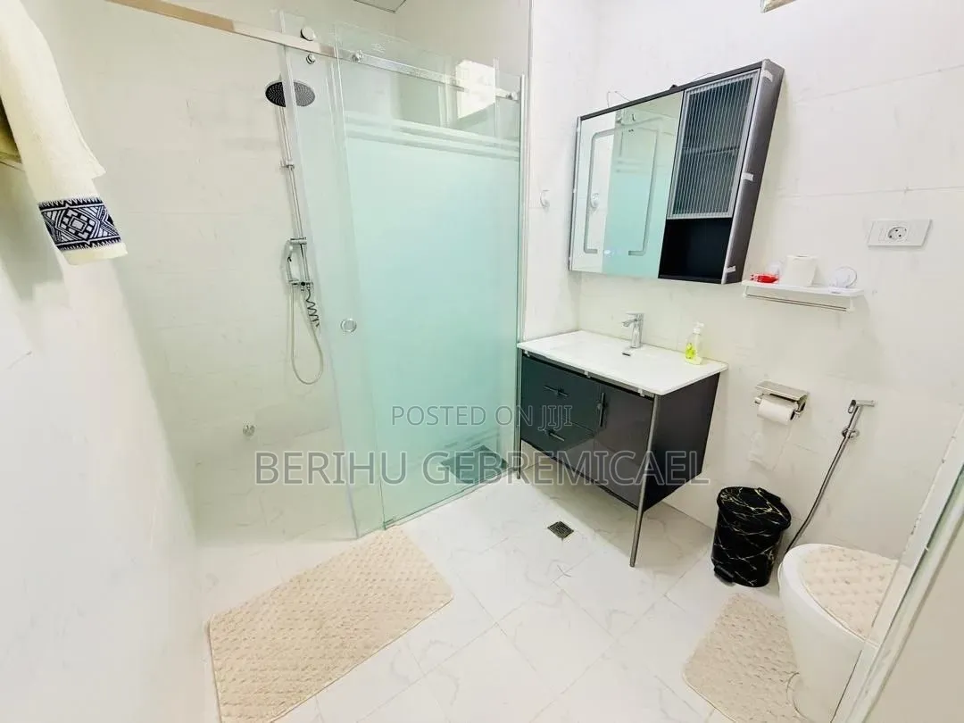 Furnished 3bdrm Apartment in Bole for rent