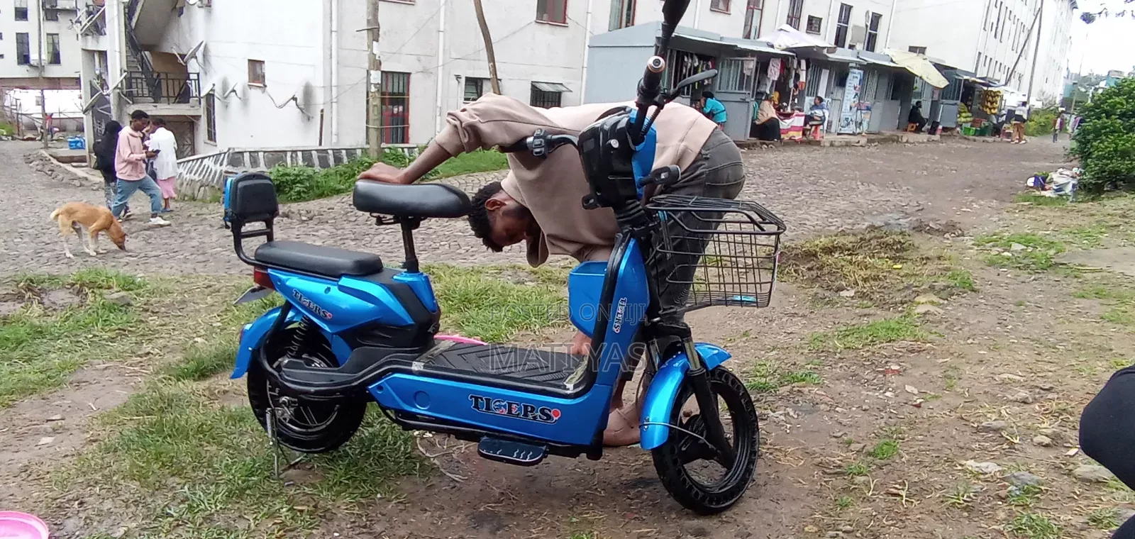 Motorcycle 2024 Blue