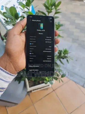 Samsung Galaxy A06 64 GB