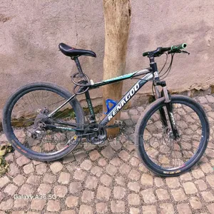A Good Bicycle