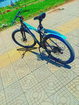 A Good Bicycle