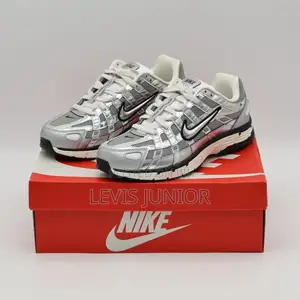Nike P6000 Metallic Silver
