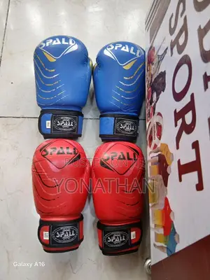 Boxing Glove Number 8-16