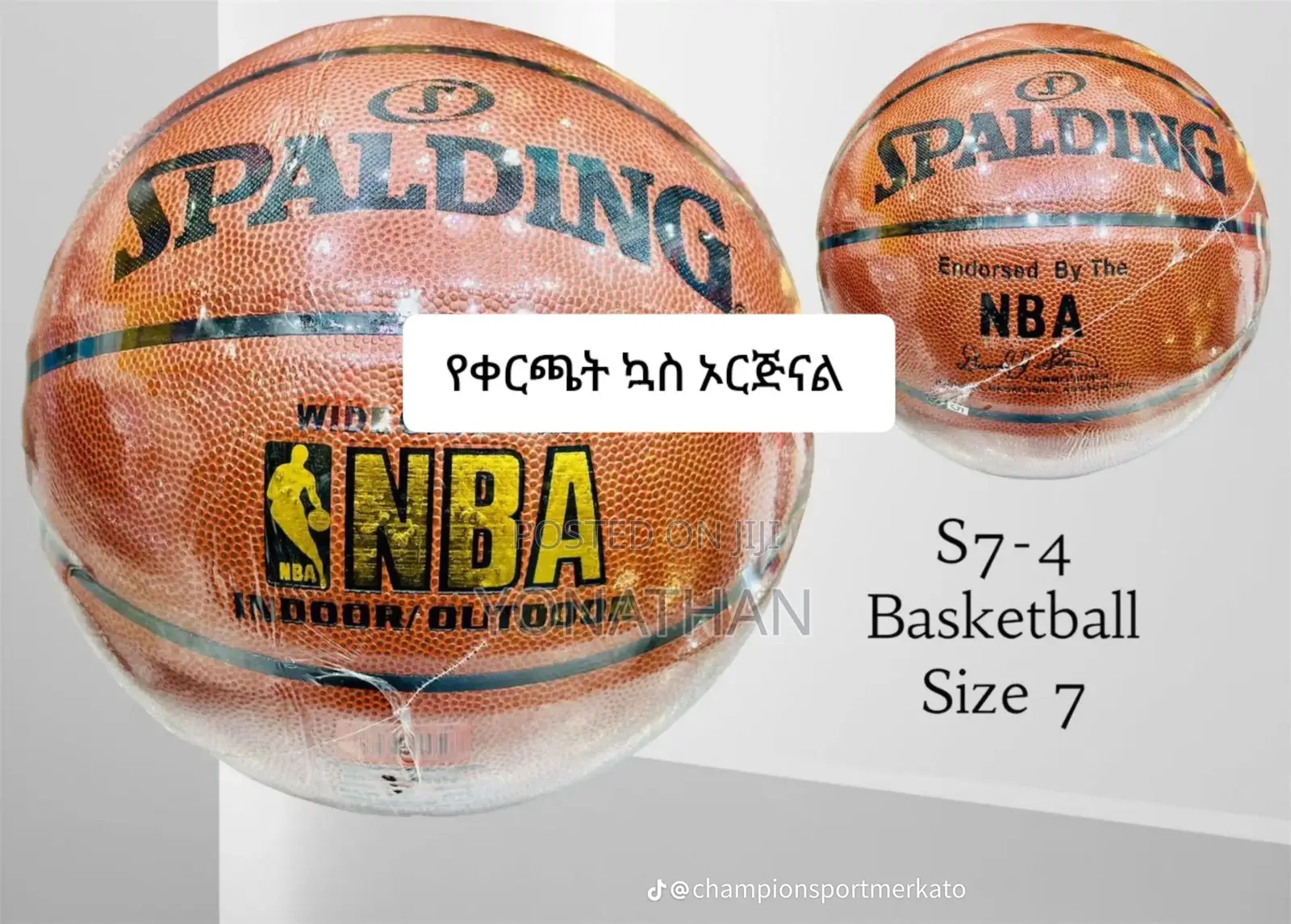 Spalding Professional Basketball