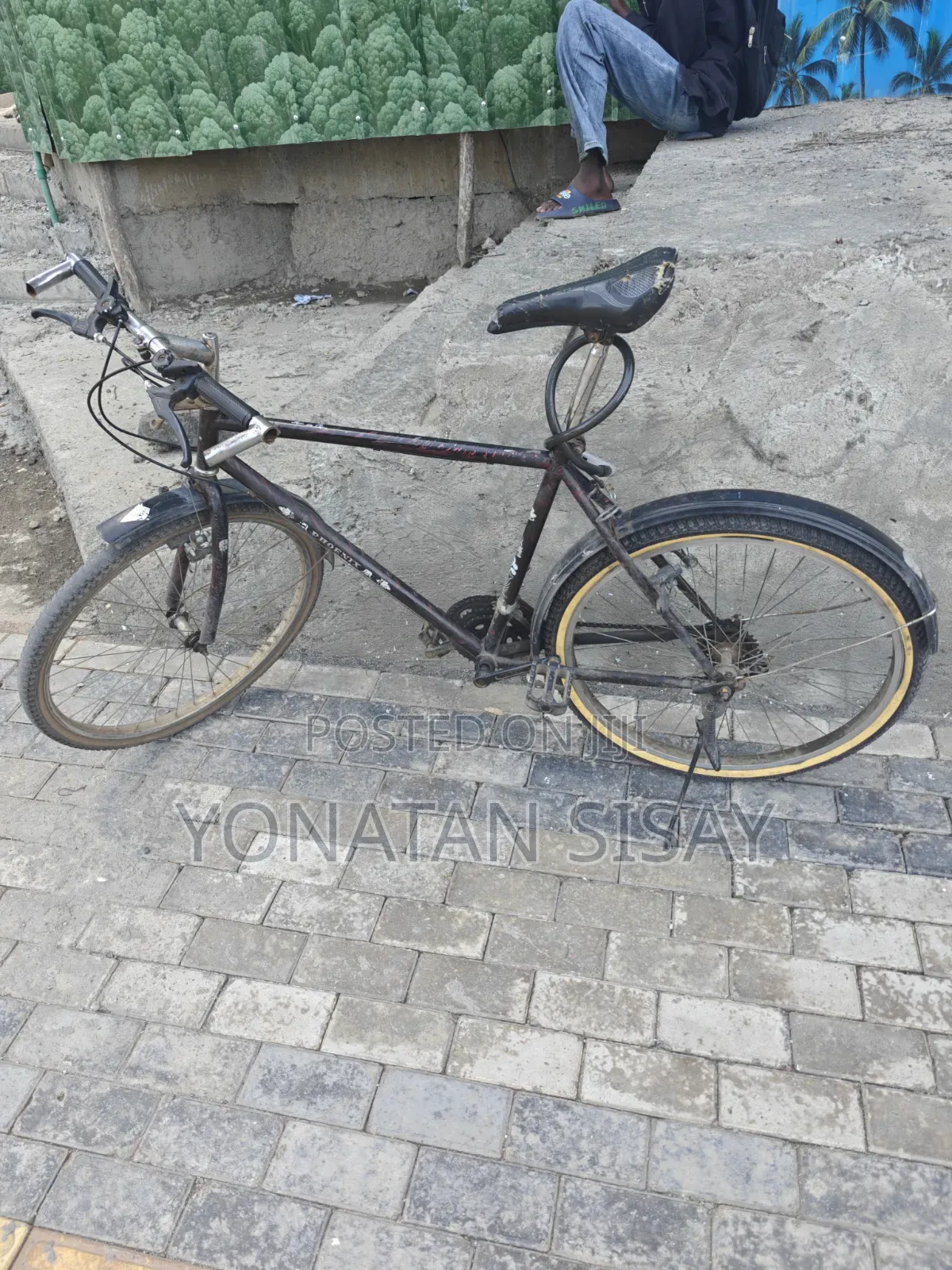 Phoenix Bicycles