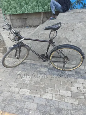 Phoenix Bicycles