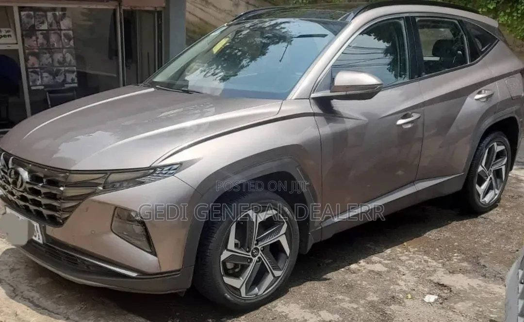Hyundai Tucson 2023 Brown