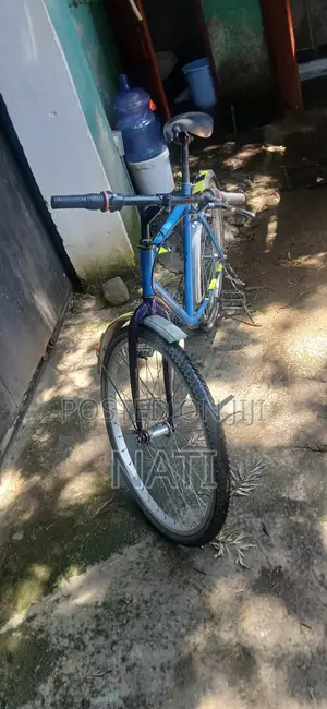 Sporting Goods → Bicycles