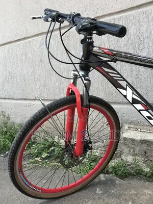 Mountain Xids Bicycle