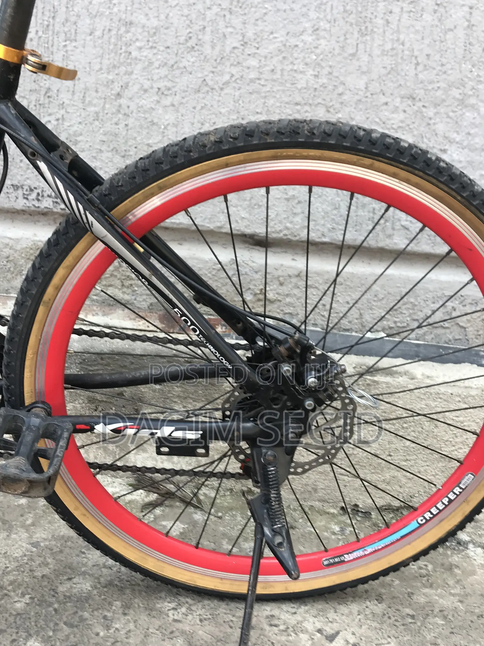 Mountain Xids Bicycle