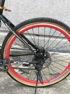 Mountain Xids Bicycle