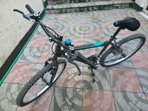 Bicycle Totem 26”