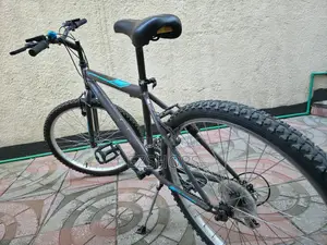 Bicycle Totem 26”