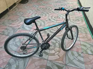 Bicycle Totem 26”