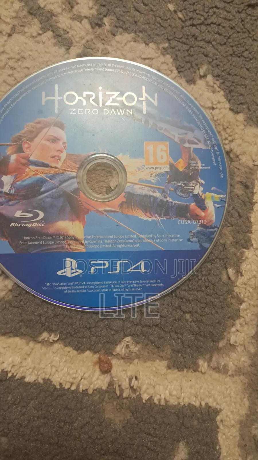 Horizon Zero Down