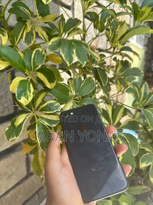 Apple iPhone 8 64 GB Black