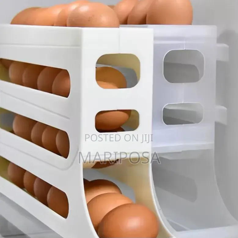 Egg Storage Box