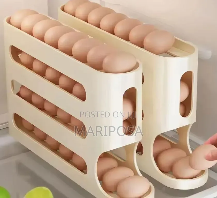 Egg Storage Box