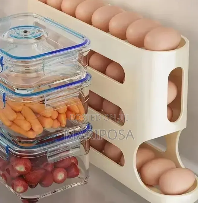 Egg Storage Box