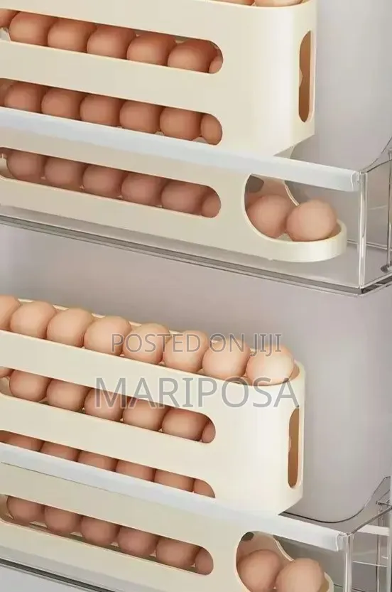 Egg Storage Box