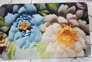 Super Absorbant Bathroom Rugs