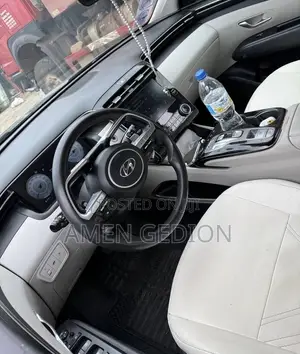 Hyundai Tucson 2022 Brown