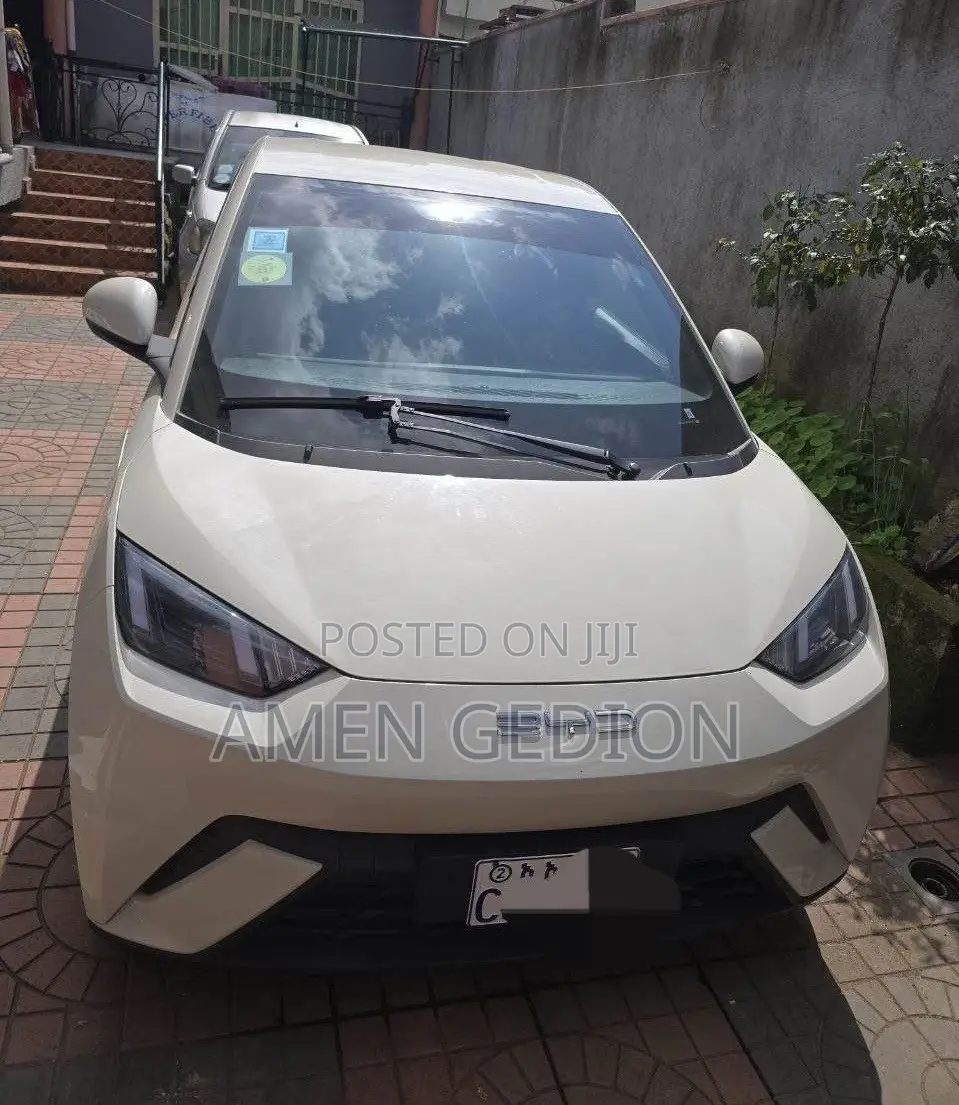 BYD Seagull 2024 White