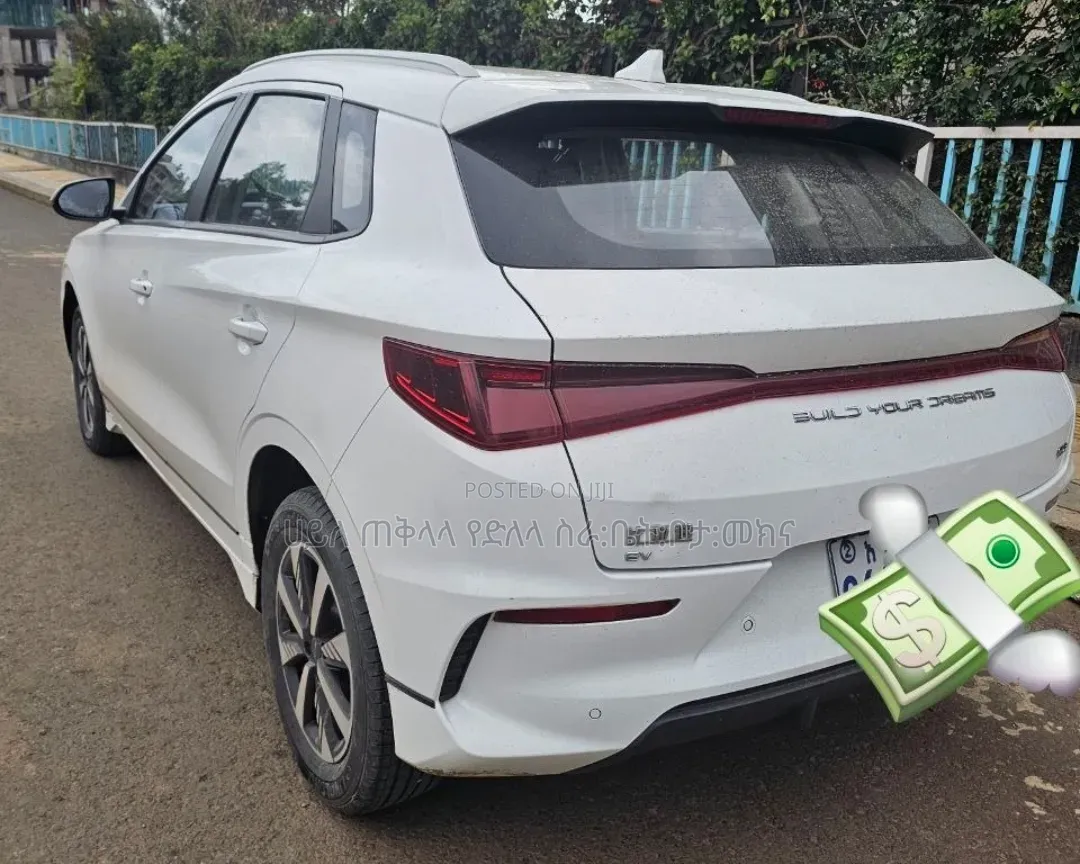 BYD E2 43 kWh 94 hp FWD 2024 White