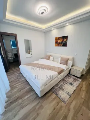 Furnished 3bdrm Apartment in Bole for rent