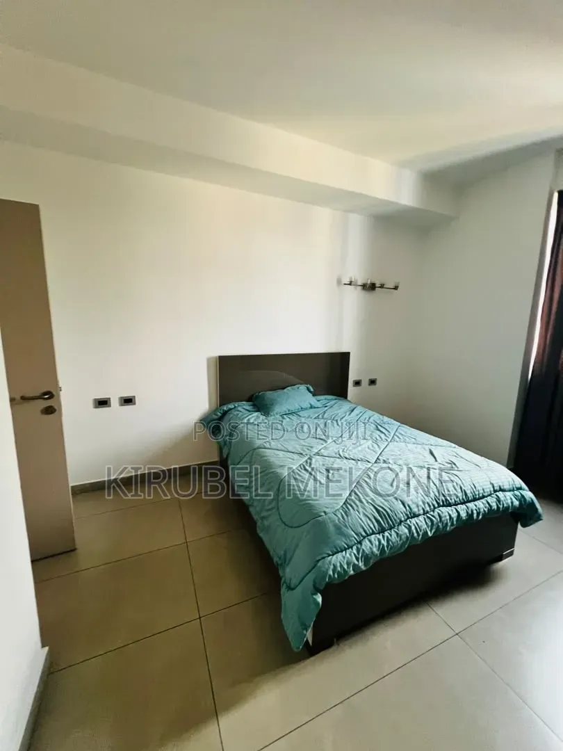 Furnished 3bdrm Apartment in Bole for rent