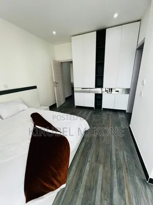 Furnished 2bdrm Apartment in Bole for rent
