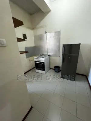 Furnished 3bdrm Apartment in Bole for rent