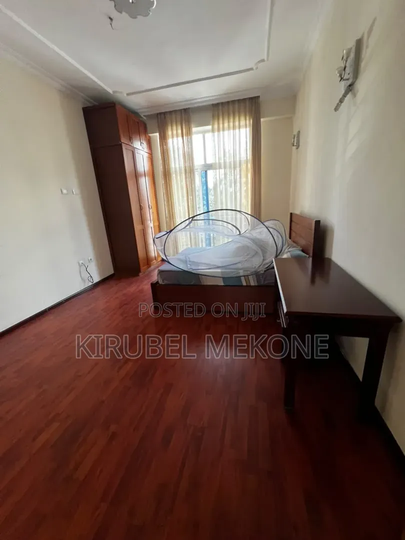 Furnished 3bdrm Apartment in Bole for rent