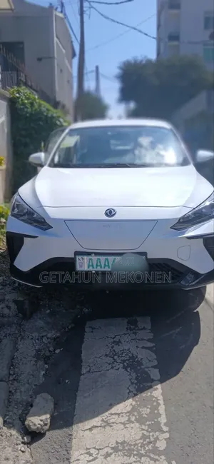 Dongfeng EV EX1 2025 White