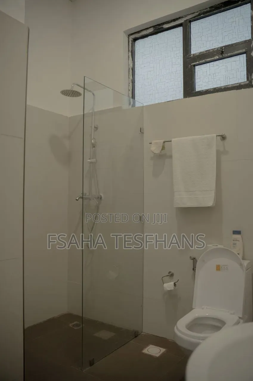 Furnished 3bdrm Apartment in Apartment, Bole for rent